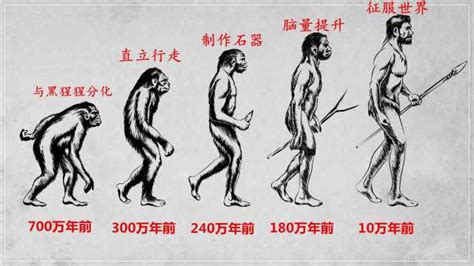 人类进化的六个阶段图