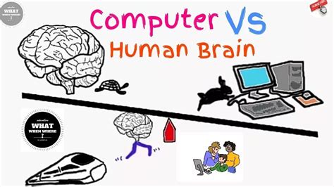 人脑与电脑的说明方法