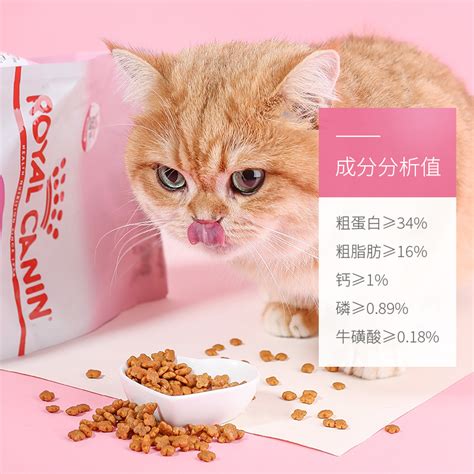 什么牌子的猫粮适合流浪猫吃