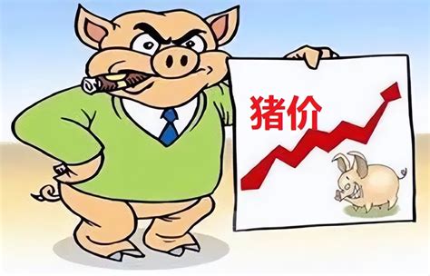 今年下半年猪价行情分析师讲解