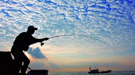 休闲渔业如何运营