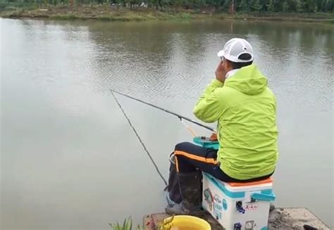 优质钓鱼领域创作者视频