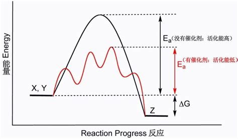 催化剂动力学曲线
