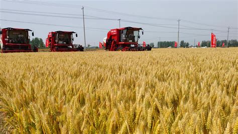 全省预计完成小麦机收面积960万亩