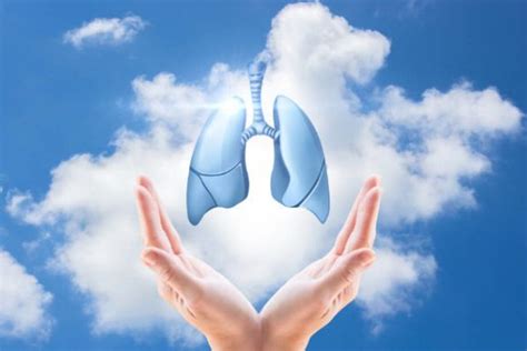 关于养肺的养生视频