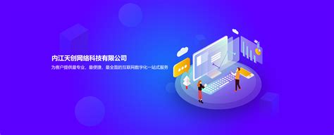 内江网站营销软件