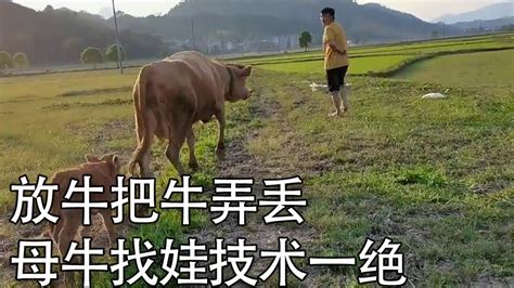 内蒙古女孩子放牛把自己放丢了
