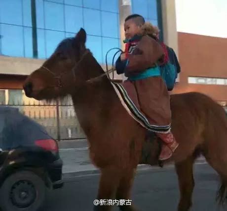 内蒙6岁小女孩骑马去上学