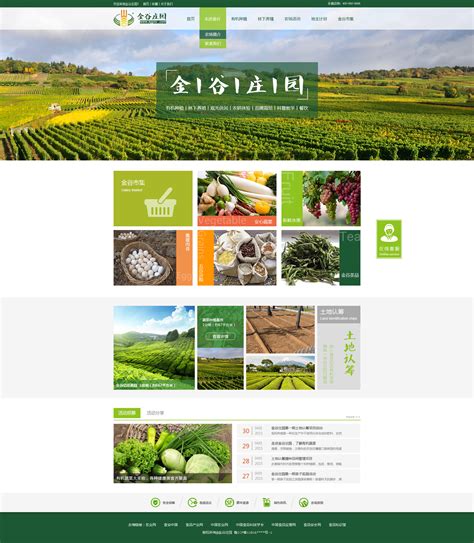农业公司的网站建设方案设计