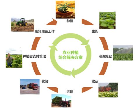 农产品推广的流程