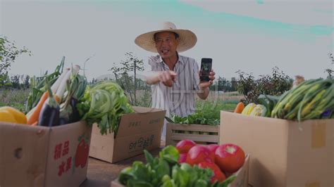 农副产品网络推广销售平台