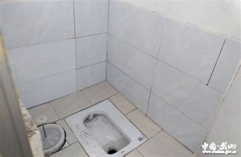农村厕所改造完美方案