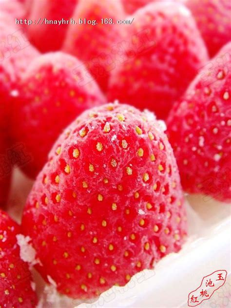冻草莓为什么便宜
