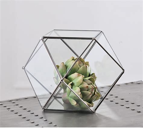 几何玻璃花盆