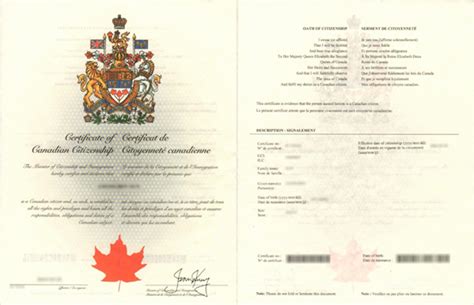 加拿大保险行业证书