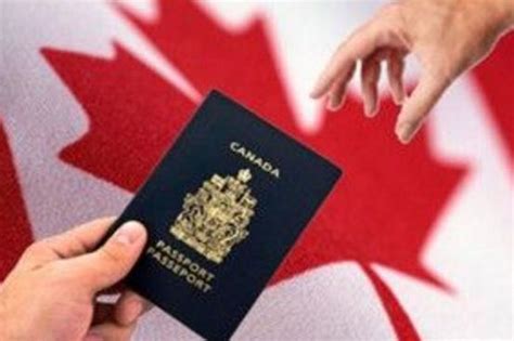加拿大工作签证交什么材料
