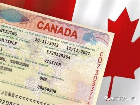 加拿大探亲签证可以打工吗