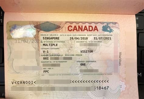 加拿大签证可以同时提供工资吗