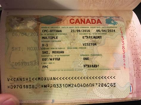加拿大签证时间