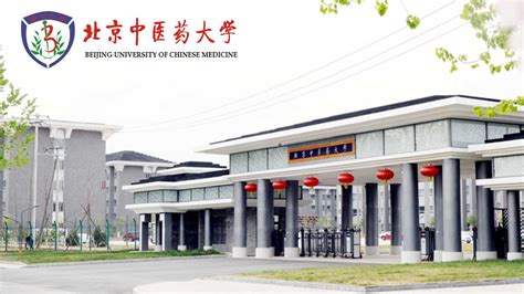 北京中医药大学属于什么水平