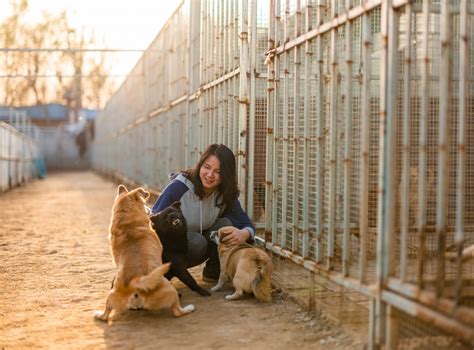 北京宠物领养救助站