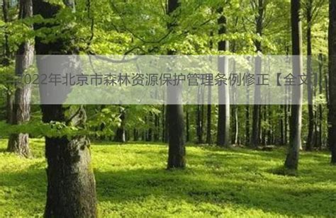 北京市森林资源保护管理条例