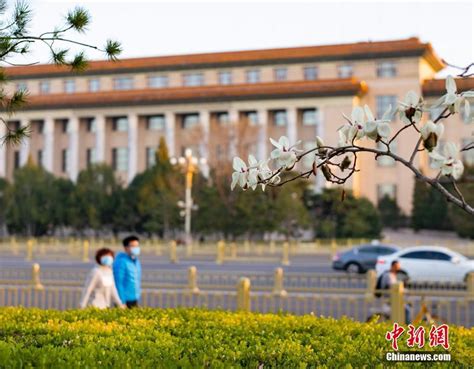 北京春暖花开地址在哪里