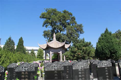 北京朝阳陵园开放时间