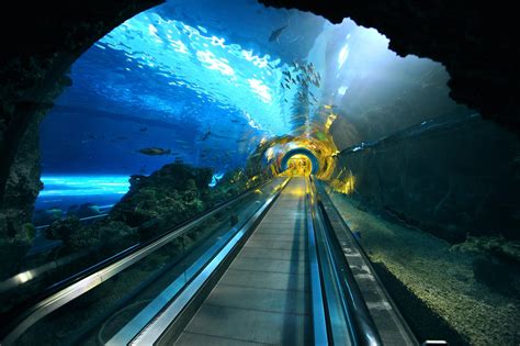 北京海底隧道