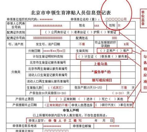 北京生育津贴申报服务表怎么下载