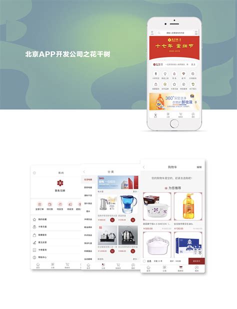 北京app开发的公司官网