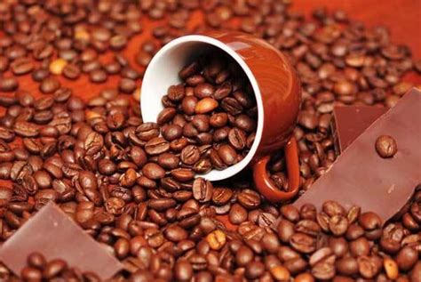 十大口碑最好的咖啡豆