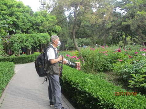 南京哪些公园60岁以上免费