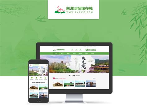 南京提供网站优化联系方式