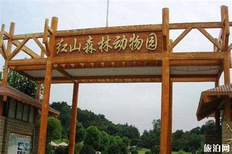 南京红山动物园要预约吗