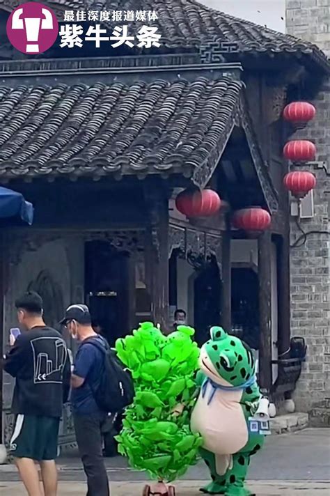 南京街头卖青蛙