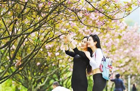 南京高校放7天春假鼓励恋爱