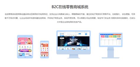 南京b2c商城网站开发