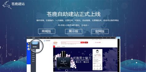 南宁企业网站建站方案