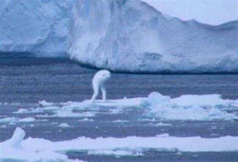 南极未解之谜纪录片