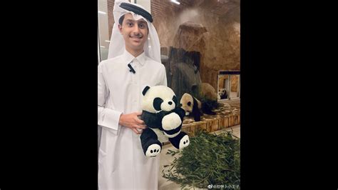 卡塔尔小王子看熊猫