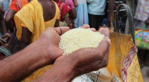 印度今年出口大米吗