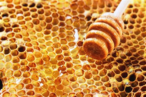 原始蜂蜜怎么熬