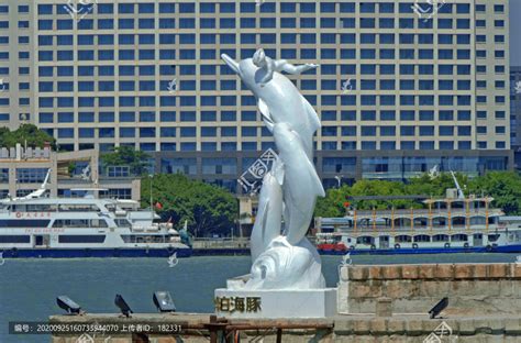 厦门白海豚雕塑厂