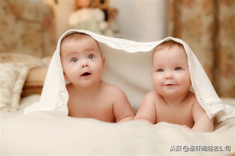 双胞胎名字鼠宝宝