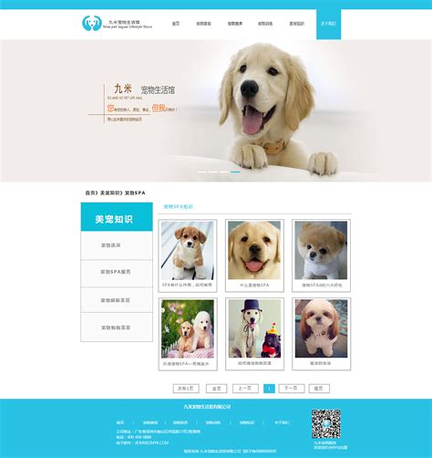 发布宠物的网站模板