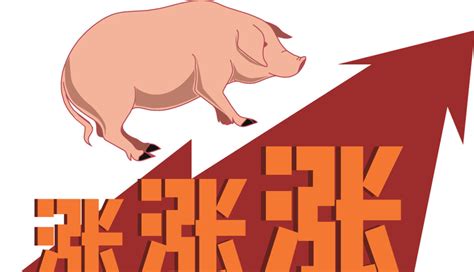 发改委关于猪价新闻