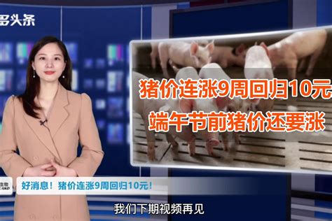 发改委关于猪价最近消息