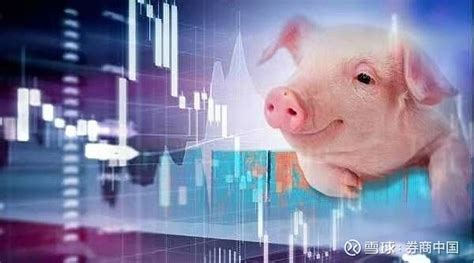 发改委猪价格监测信息2023年