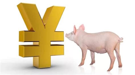 发改委 预计猪价或延续低位运行
